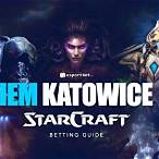 starcraft 2 bet cash